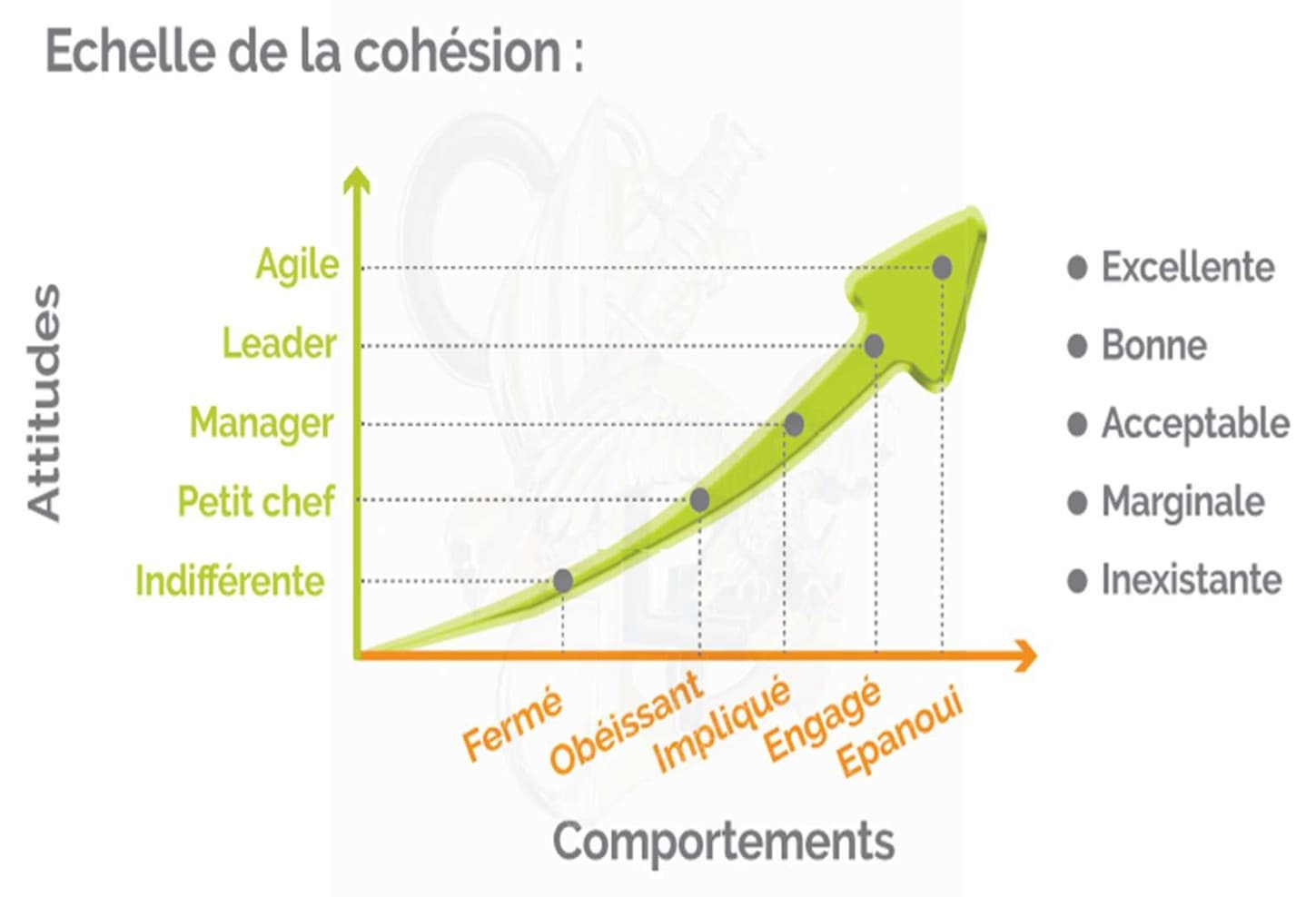Échelle de la cohésion : les attitudes (d'indifférente à agile) croisées aux comportements (de fermé à épanoui), du niveau inexistant à excellent