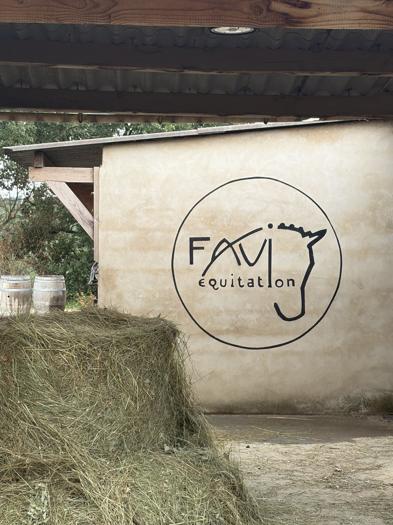 Séance d'équitation encadrée par notre partenaire Favi